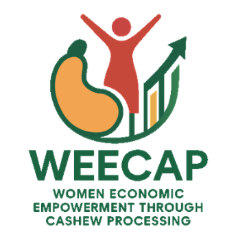 1. WEECAP LOGO1